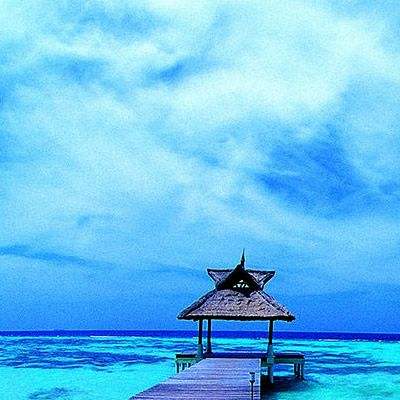 亚市早盘黄金上涨，受美元走弱提振