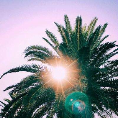 这么近那么美 河北到底有什么