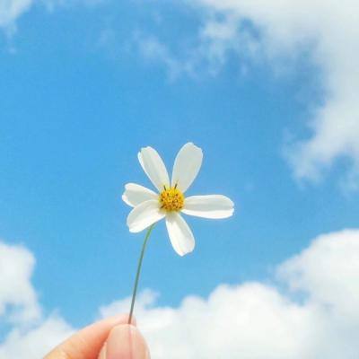 植物医生IPO：当品牌回归价值原点