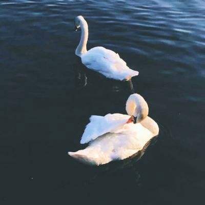 朱婷强敌出现！21岁天才惊艳世界 新得分狂人横空出世