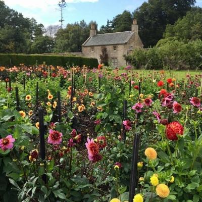 为何南北东西睡眠时长差异如此大