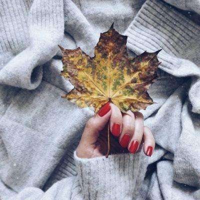 崔永元道歉，“4天6000万”与范冰冰无关，那么，这份合同是谁的？