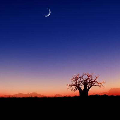 安排好无数个孩子独落下11岁的女儿