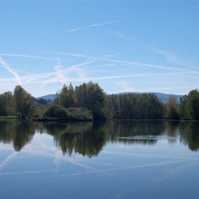 道达尔计划将把海上风电资金用于开采美国石油和天然气