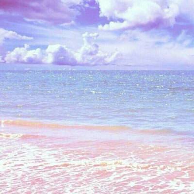 九游ag登录入口全新版