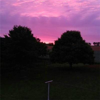 德州仪器 (TI) 扩展微控制器产品...