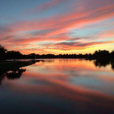 男子多次飞身用头撞车 警方回应