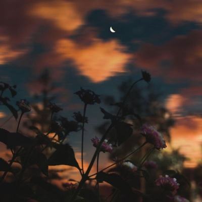 法官称美国政府对 Anthropic 人工智能的禁令 “令人不安”