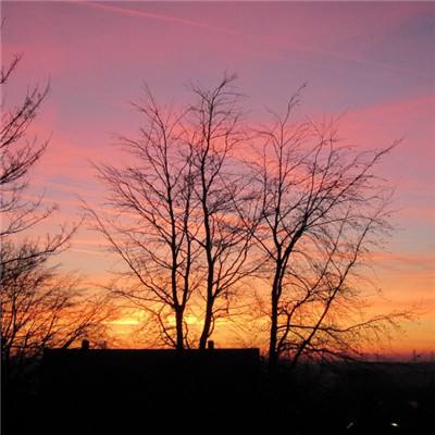 长期规划意识连降三年，刚兑思维仍顽固：中国居民金融素养的“光鲜”与“隐忧”