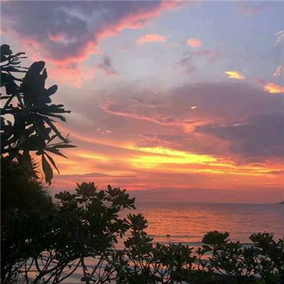 美媒称特朗普“一边准备谈判一边握拳”